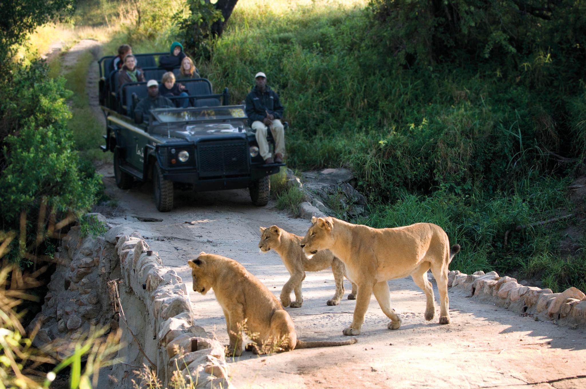 Lion Sands Narina Lodge 萨比沙禁猎区 外观 照片